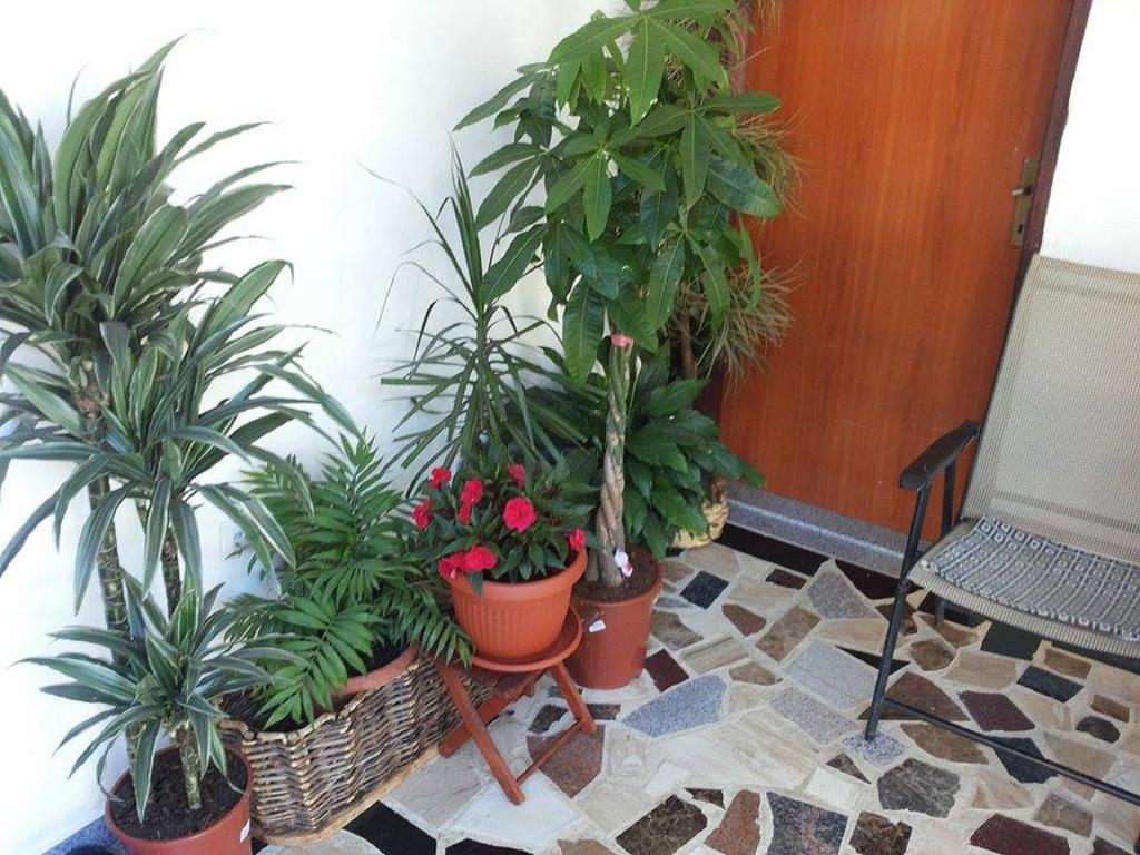Apartments Blago Sutomore Exterior foto